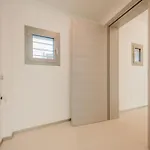 Appartement Dauli - Tra Venezia E Padova & Parcheggio Dolo