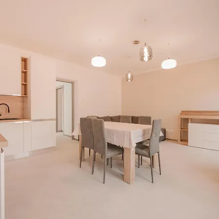 Dauli - Tra Venezia E Padova & Parcheggio Apartment Dolo
